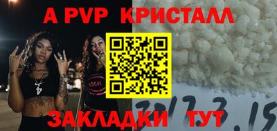 хмурый Тула