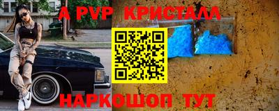 хмурый Тула