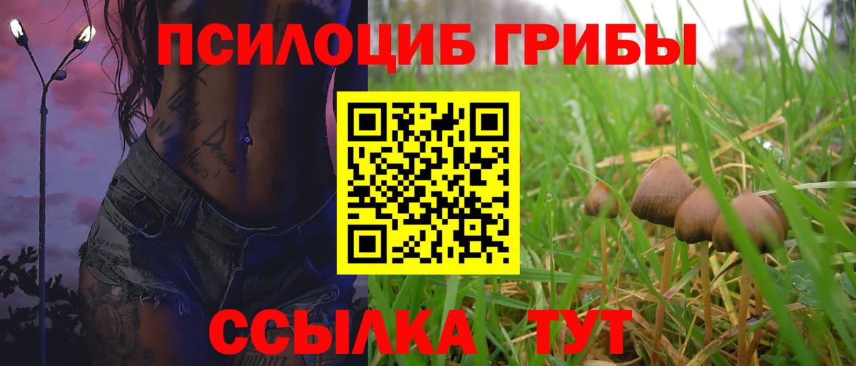 Галлюциногенные грибы Psilocybine cubensis Тверь