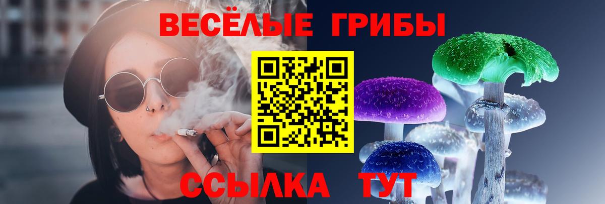 Псилоцибиновые грибы ЛСД  наркотики  Тверь  Вход с VPN 
