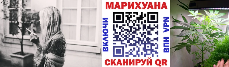 Бошки марихуана индика  Тверь 